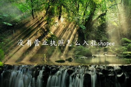 沒(méi)有營(yíng)業(yè)執(zhí)照怎么入駐shopee